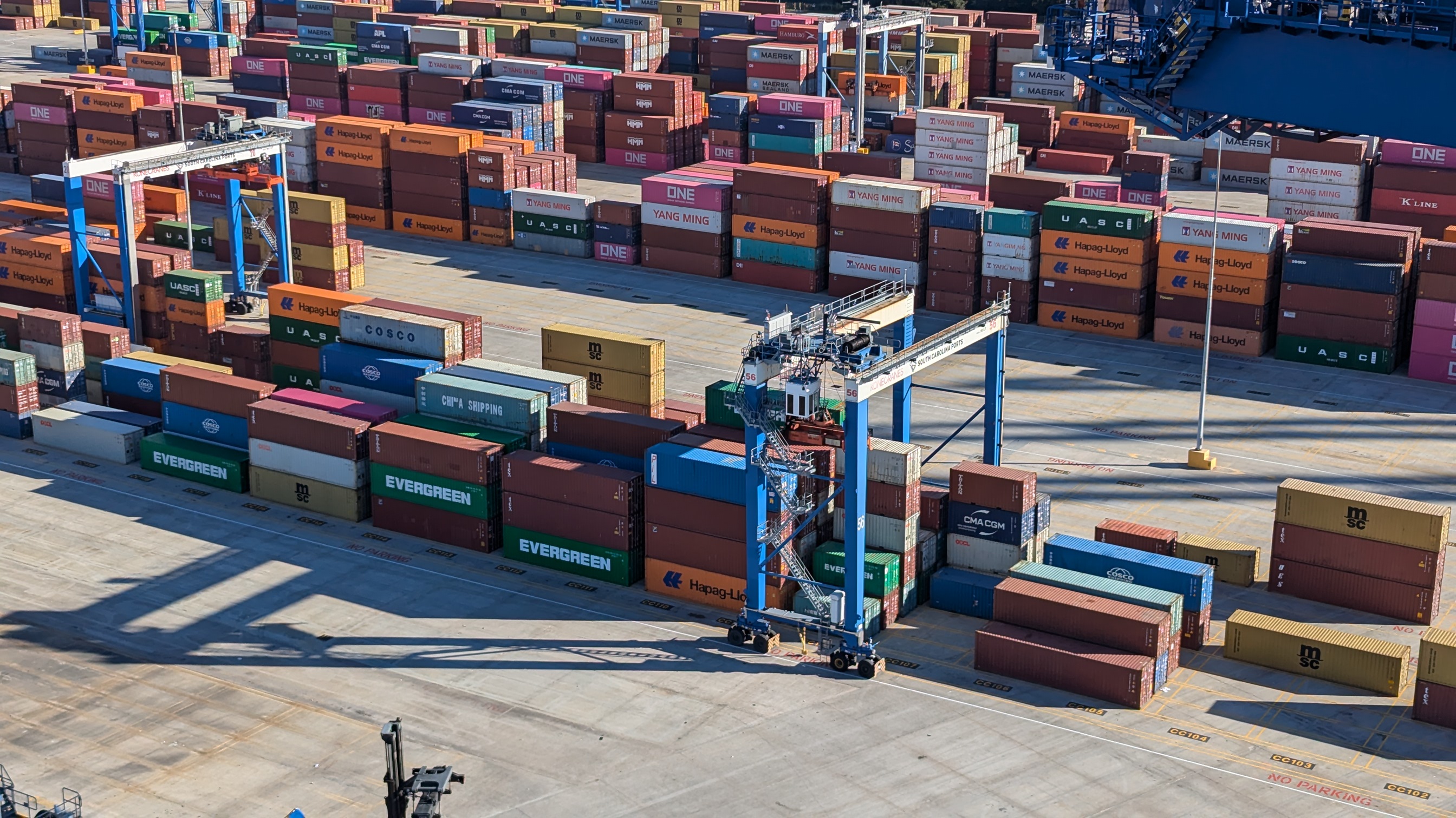 Port terminal with gantry cranes and container ships